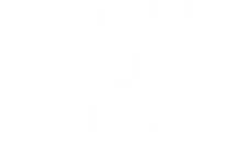 The View